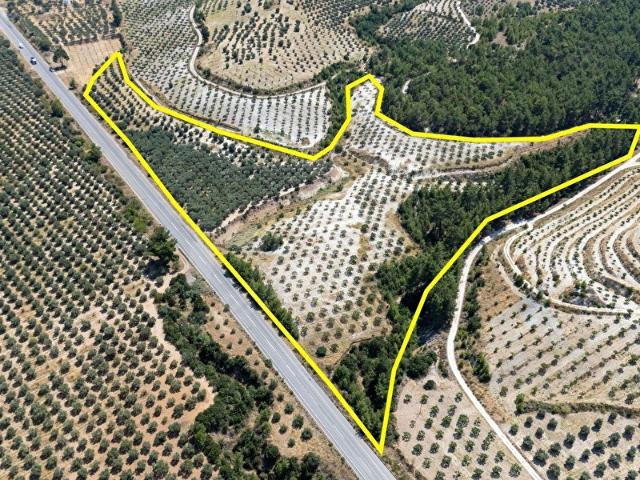 Yeni, Karacasu içerisinde satılık mülk