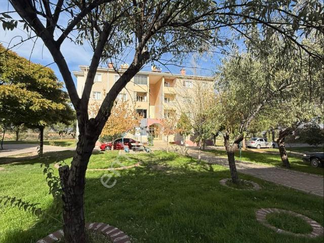 Karacasu, Aydin içerisinde satılık mülk