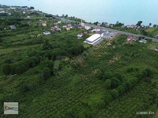 Ordu içerisinde satılık Arsa