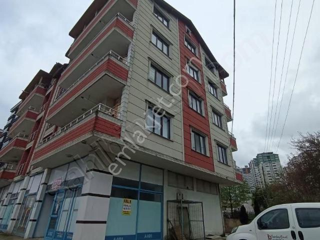 Ordu içerisinde kiralık mülk