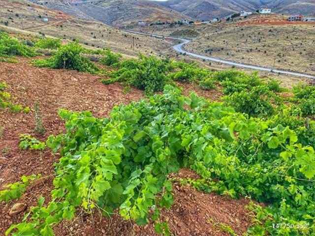 Battalgazi, Malatya içerisinde satılık mülk