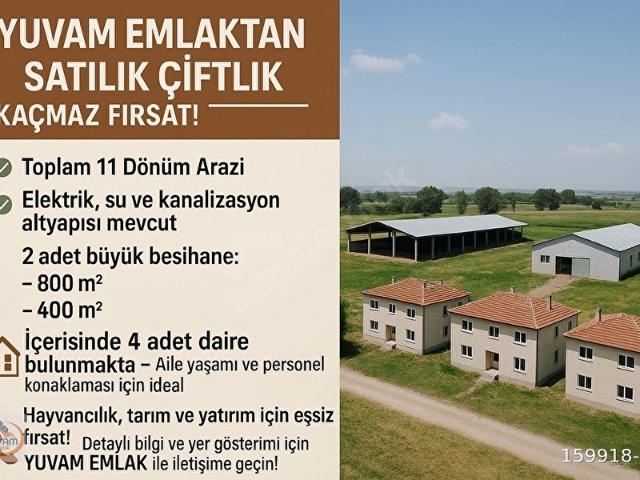 Polatli, Ankara içerisinde satılık Fabrika