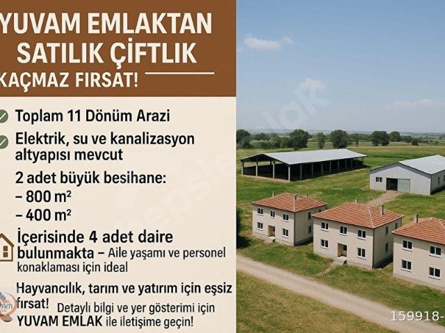 Polatli, Ankara içerisinde satılık Fabrika