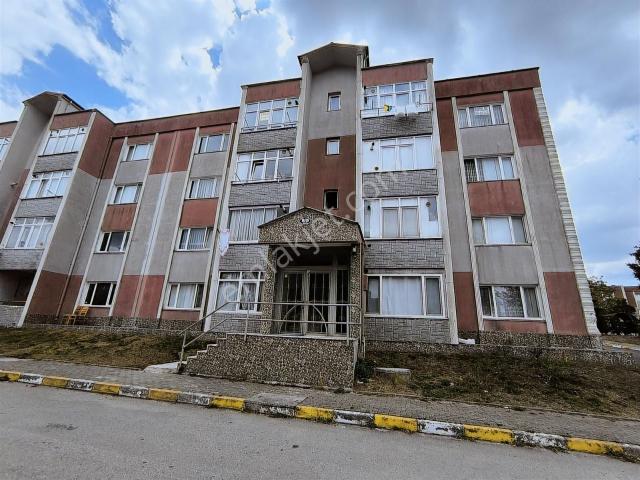 Körfez, Kocaeli içerisinde kiralık mülk