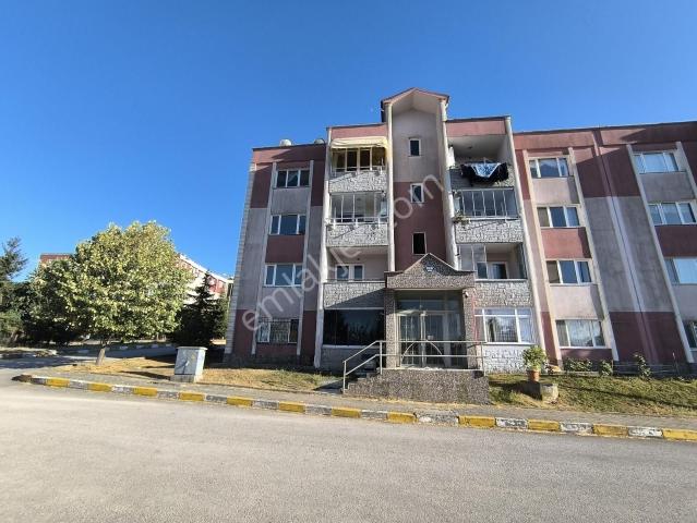 Körfez, Kocaeli içerisinde kiralık mülk