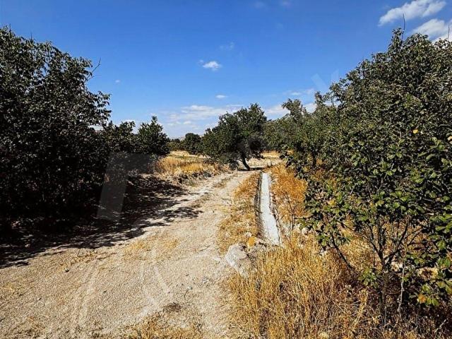 Ürgüp, Nevşehir içerisinde satılık mülk