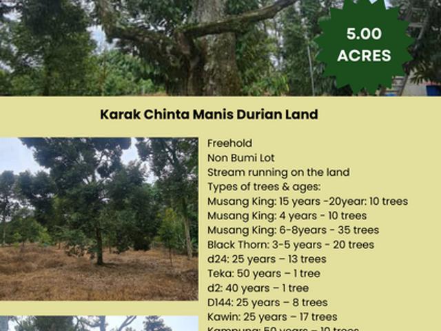Shop for sale in Karak, Pahang