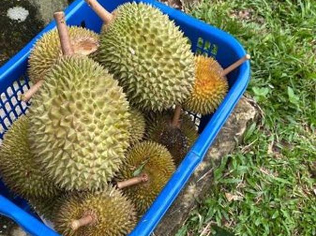 Shop for sale in Karak, Pahang