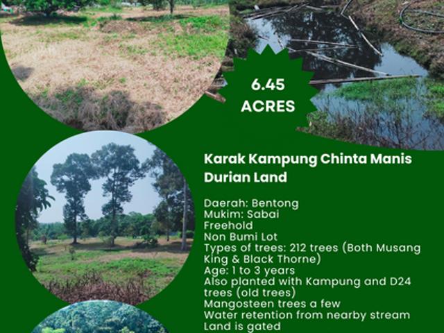 Shop for sale in Karak, Pahang