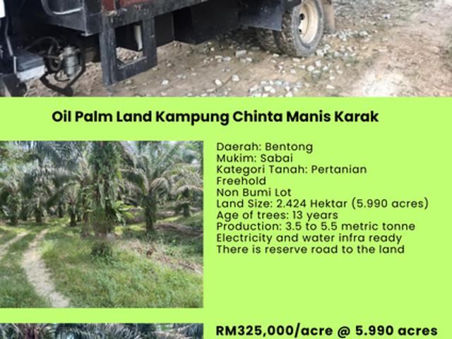 Shop for sale in Karak, Pahang
