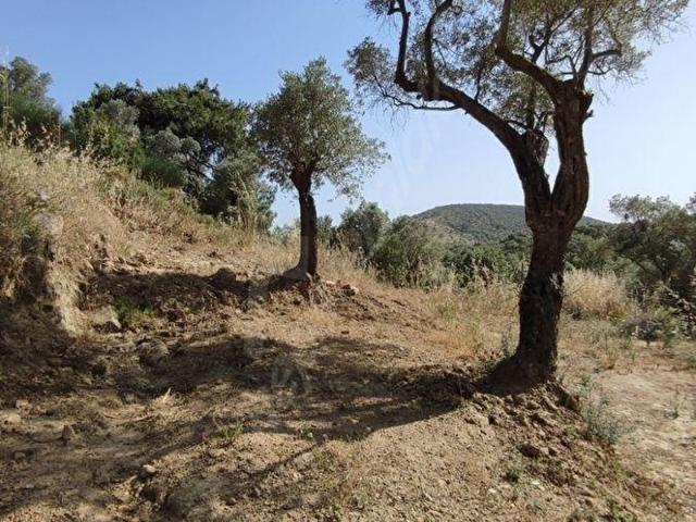 Karakızlar Mahallesi, Torbalı içerisinde satılık mülk