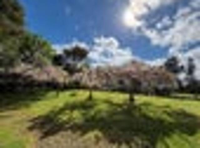 House for rent in Auranga, Franklin