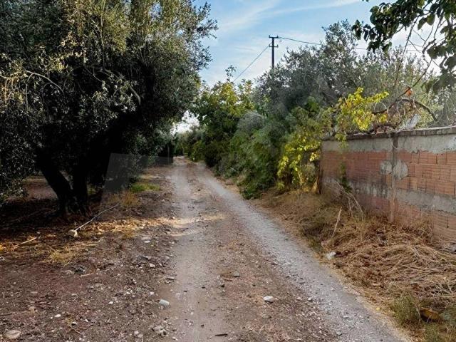 Seyitahmet Mahallesi, Akhisar içerisinde satılık Arsa