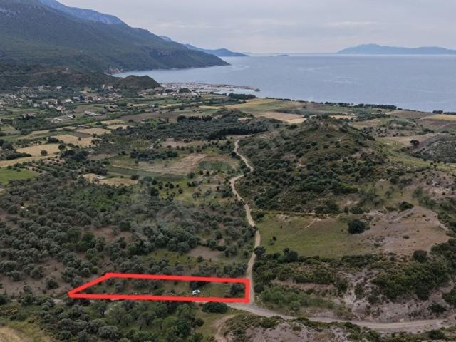 Datça, Muğla içerisinde satılık Arsa