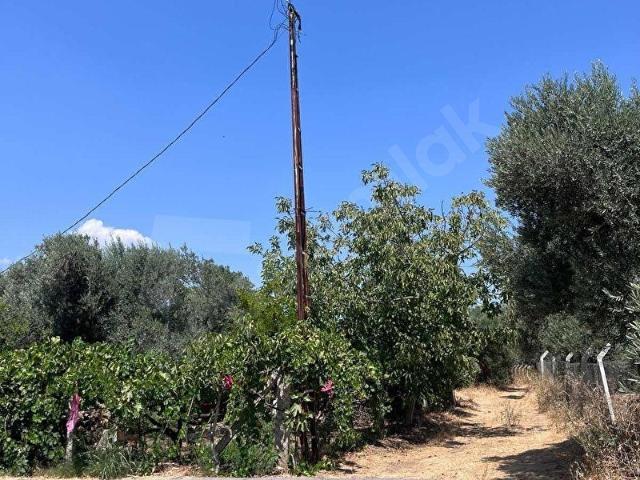 Torbali, İzmir içerisinde satılık Arsa