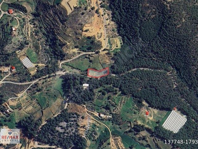 Gazipaşa, Antalya içerisinde satılık Arsa