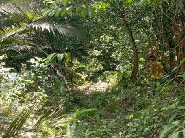 Shop for sale in Karangan, Kedah