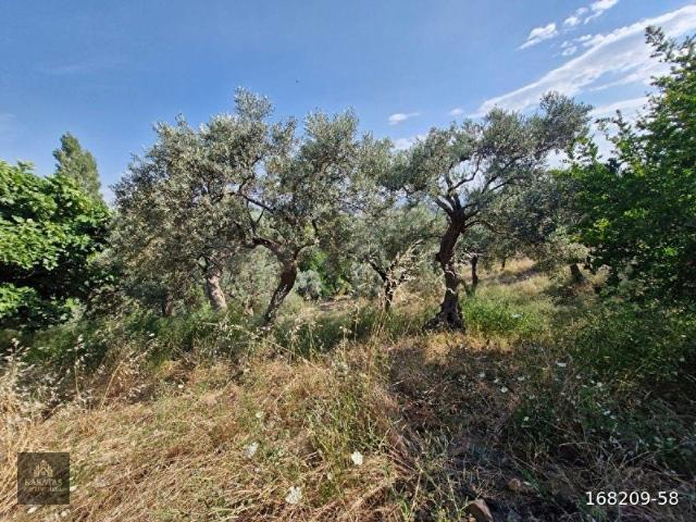 Torbali, İzmir içerisinde satılık Arsa