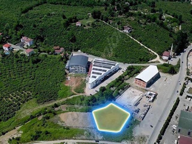 Ordu, Altınordu içerisinde satılık Dükkan