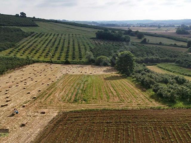 Kaynarca, Sakarya içerisinde satılık Arsa