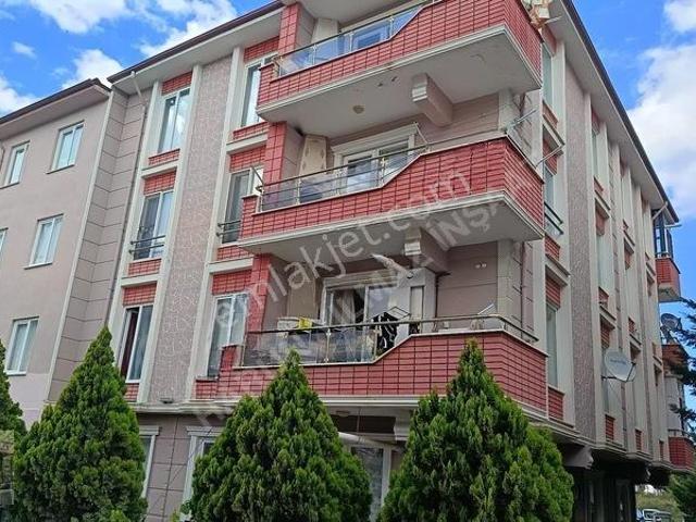 Akkum, Karasu içerisinde kiralık mülk