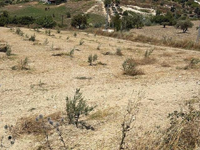 Altinözü, Hatay içerisinde satılık mülk
