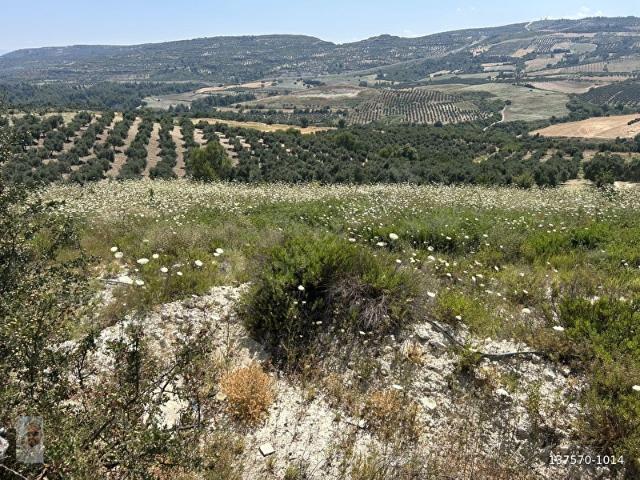 Altinözü, Hatay içerisinde satılık mülk