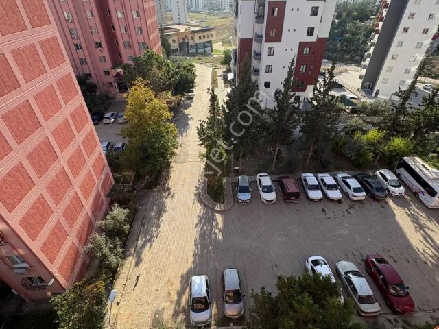 Balcalı Toki Konutları, Sarıçam içerisinde kiralık mülk