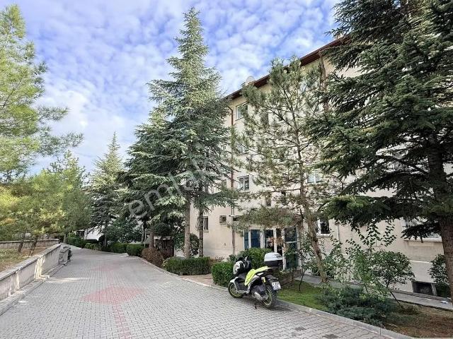 Kardelen Mahallesi, Yenimahalle içerisinde kiralık mülk