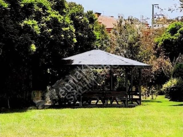 Ali İhsan Paşa, Afyonkarahisar Merkez içerisinde kiralık mülk