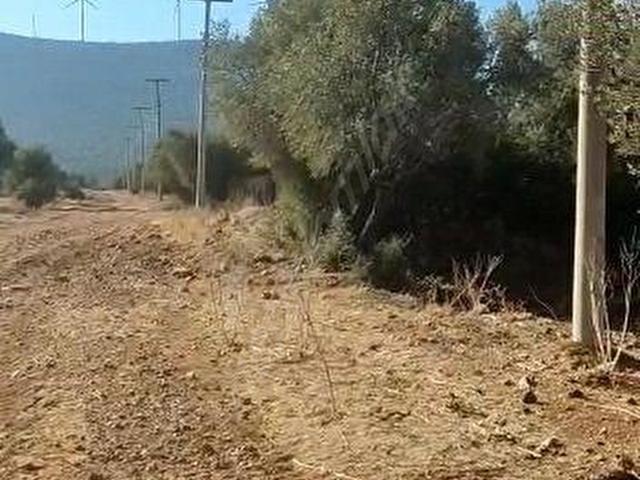 Didim, Aydin içerisinde satılık Arsa