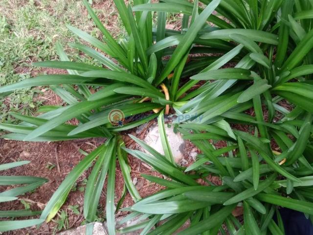 Land for sale in Karen, Kiambu