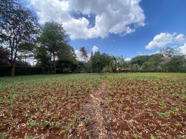 Land for sale in Karen, Kiambu