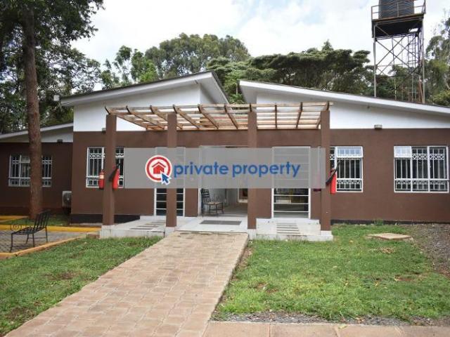 Commercial for rent in Karen, Kiambu