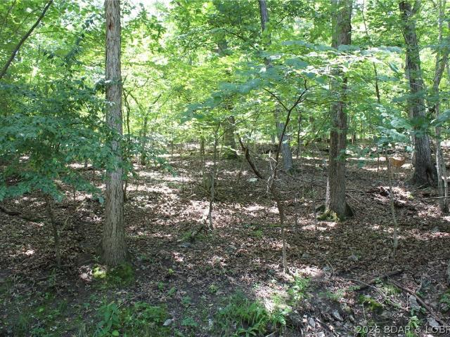 Land for sale in Gravois Mills, Missouri