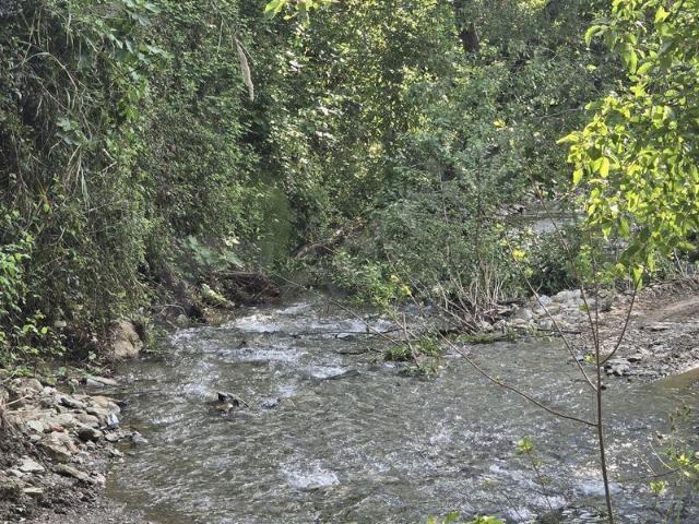 Alanya içerisinde satılık Arsa