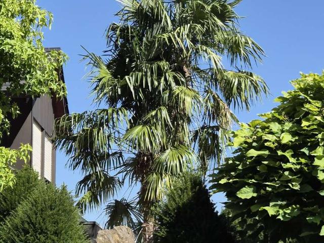 Haus kaufen in Sulzfeld, Landkreis Rhön-Grabfeld