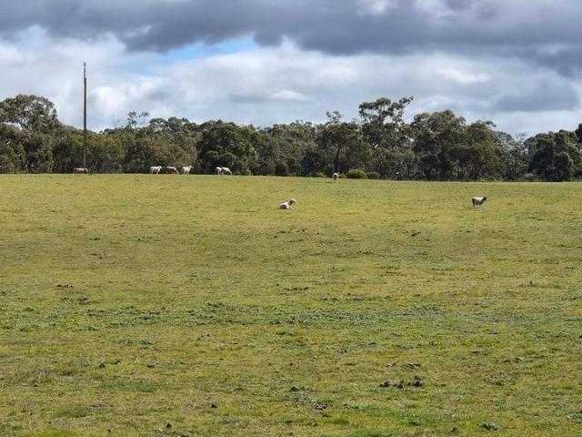 Cottage for sale in Wolseley, South Australia