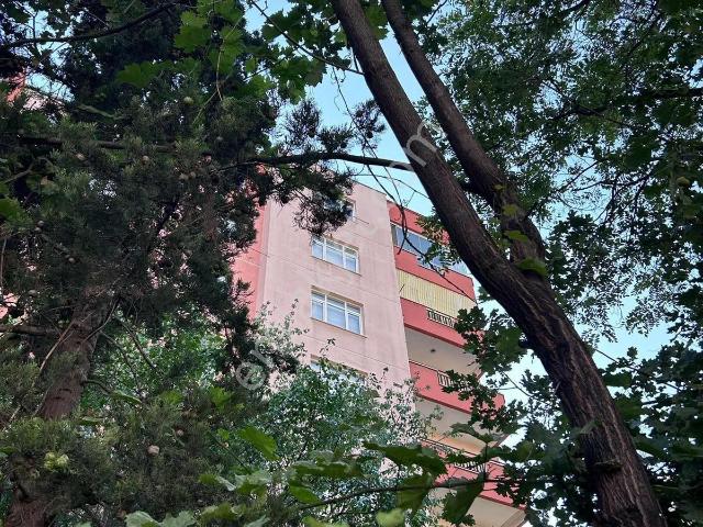 Erenler Mahallesi, Karatay içerisinde satılık mülk