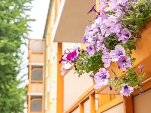 Apartment mieten in Copitz, Pirna