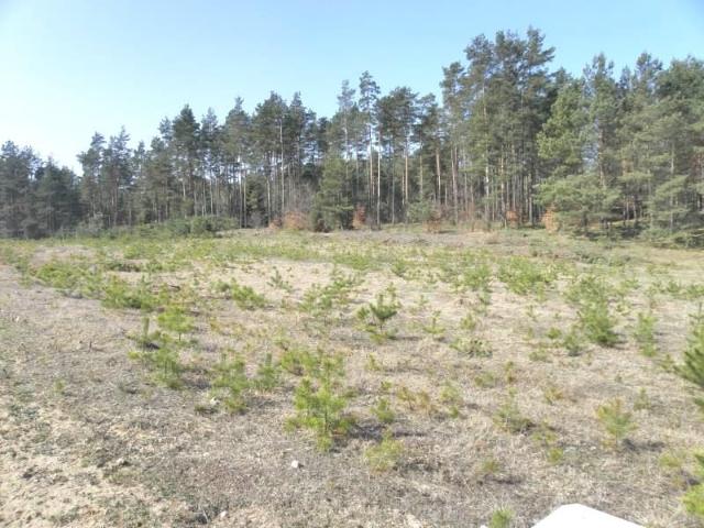 Grunt na sprzedaż w Sitno, Pomorskie