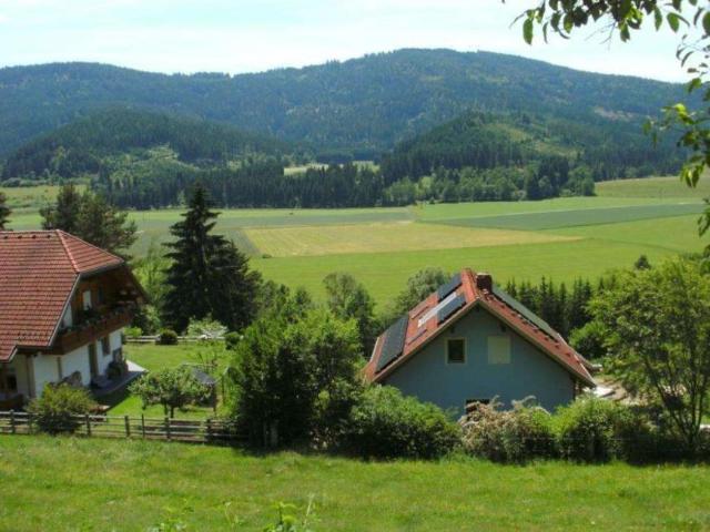 Gewerbe kaufen in Weitensfeld, Kärnten