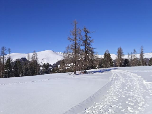 Wohnung kaufen in Albeck, Kärnten