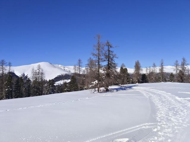 Wohnung kaufen in Albeck, Kärnten