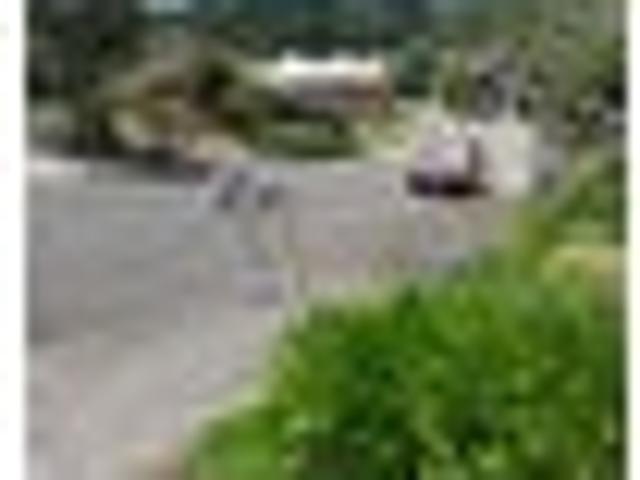 Apartment for rent in Matata, Wellington
