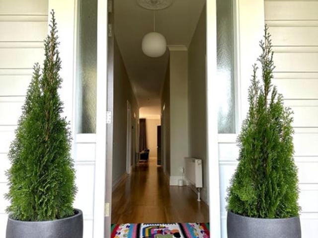 House for rent in Matata, Wellington