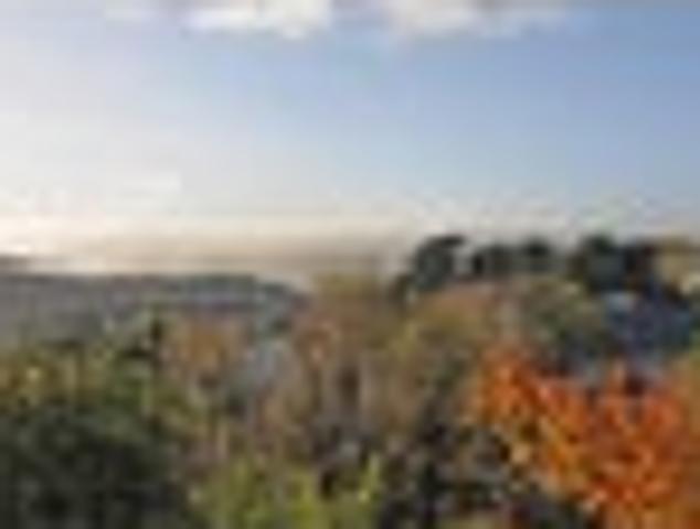 House for rent in Matata, Wellington