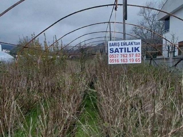 Çınarcık içerisinde satılık Arsa