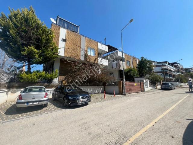 Çukurova, Adana içerisinde kiralık mülk
