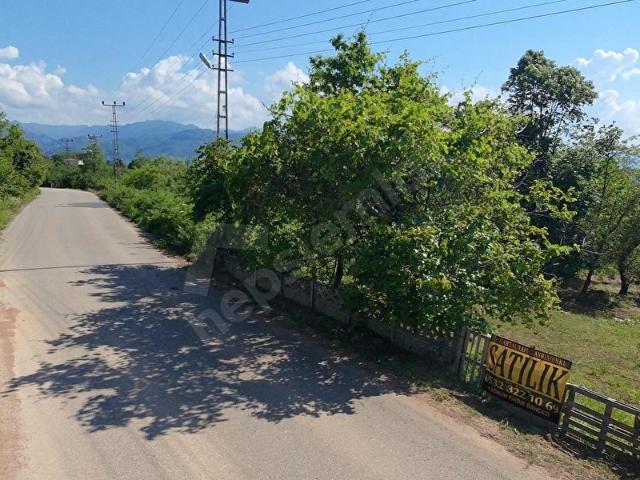 Kabakdağı Mahallesi, Fatsa içerisinde satılık mülk